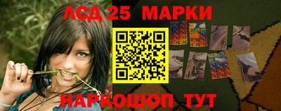 Альфа ПВП Моздок