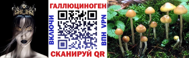 Галлюциногенные грибы мухоморы Черногорск