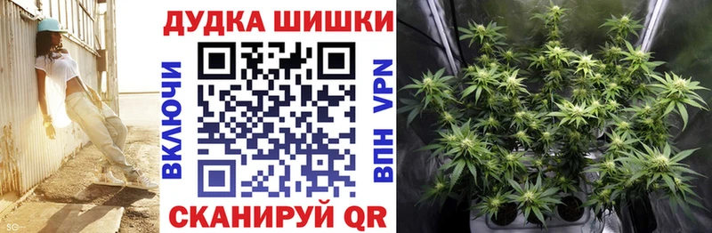Бошки Шишки ГИДРОПОН  Черногорск 